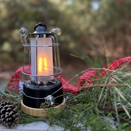 a woman looking out the window at a forest filled with white leaved trees